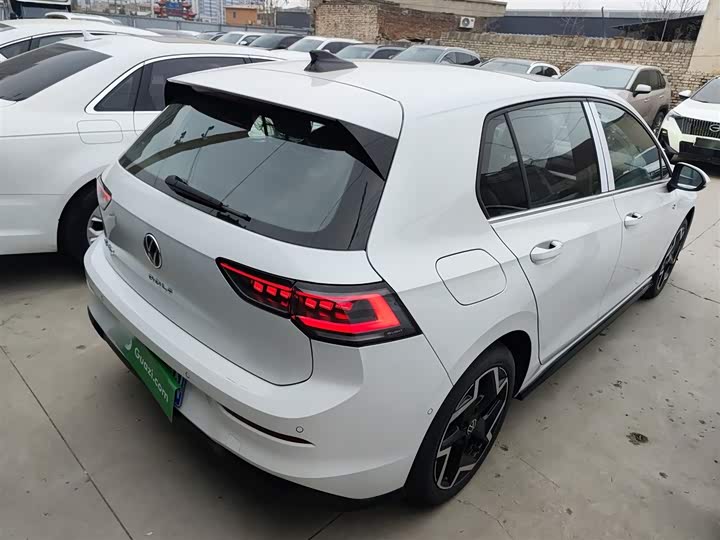 Volkswagen Golf 2025 2025款 300TSI R-Line