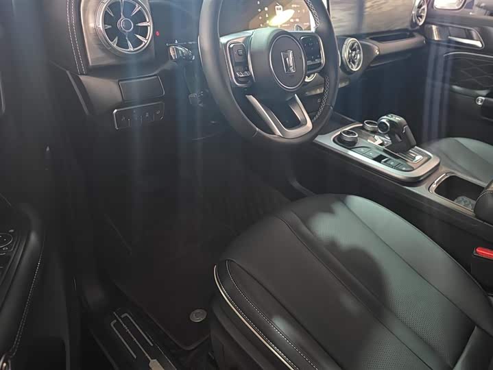 Tank 300 2024 2024款 2.0T 征服者