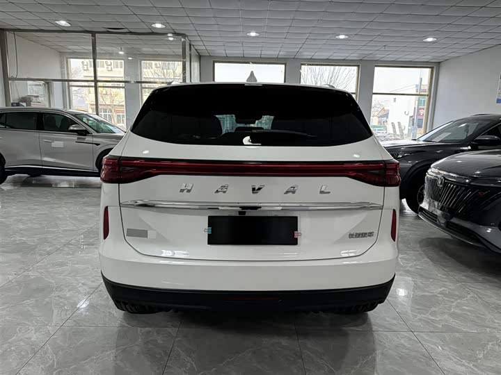 Haval H6 2024 2024款 1.5T 两驱经典版