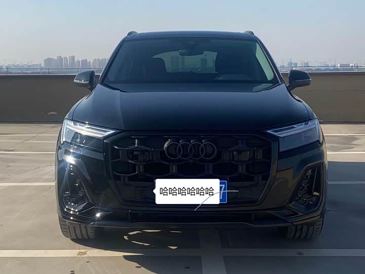 Audi Q7 2025 2025款 45 TFSI quattro S line黑武士型