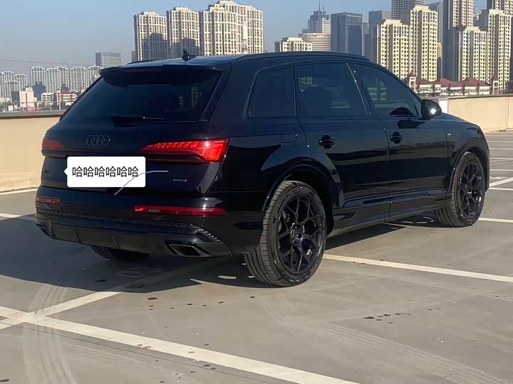 Audi Q7 2025 2025款 45 TFSI quattro S line黑武士型