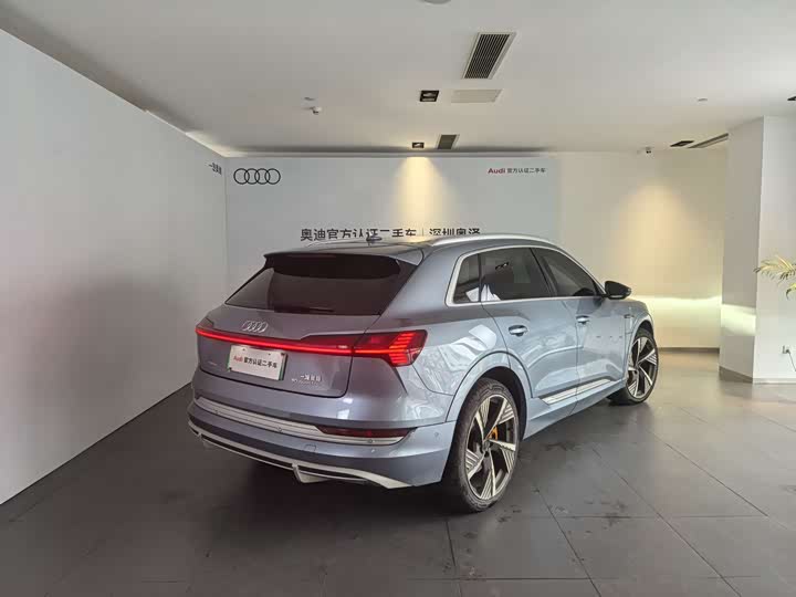 Audi e-tron 2021 2021款 50 quattro 尊享型