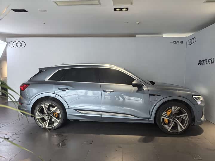 Audi e-tron 2021 2021款 50 quattro 尊享型