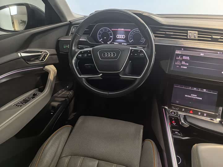 Audi e-tron 2021 2021款 50 quattro 尊享型