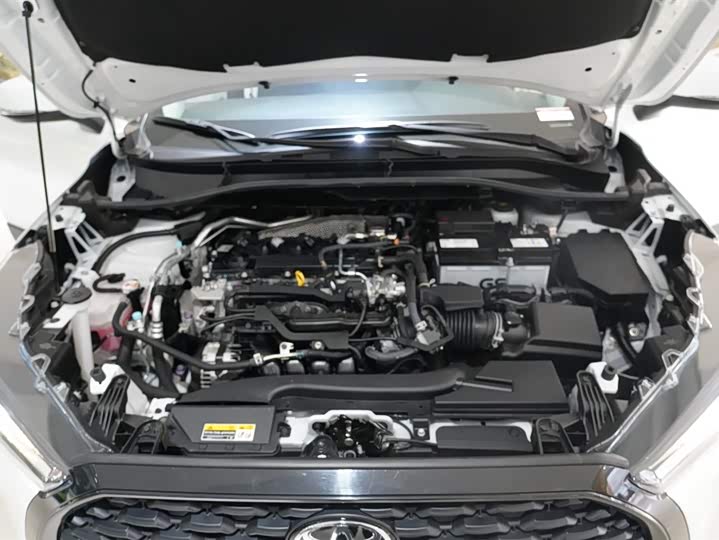 Toyota Corolla Cross 2024 2024款 2.0L 精英版