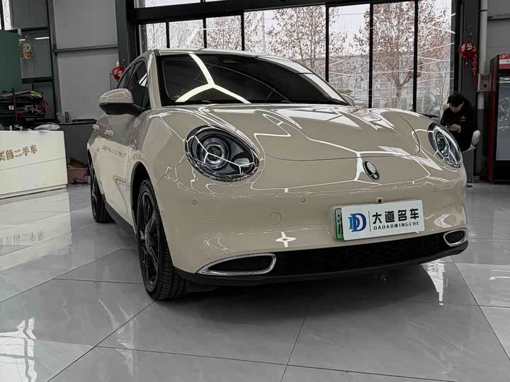 Ora Good Cat (03) 2024 2024款 401km 尊荣型 126kW