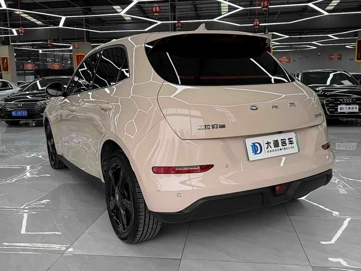 Ora Good Cat (03) 2024 2024款 401km 尊荣型 126kW