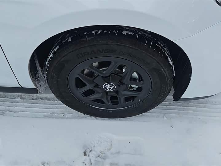 BYD Qin Plus 2025 2025款 DM-i 智驾版 55KM领先型