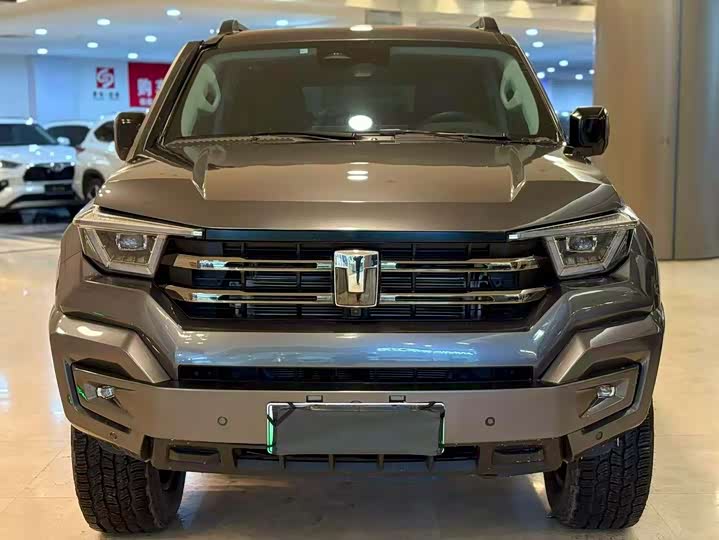 Tank 400 Hybrid 2024 2024款 Hi4-T 越野版