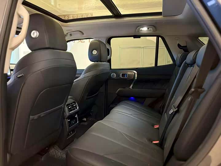 Tank 400 Hybrid 2024 2024款 Hi4-T 越野版