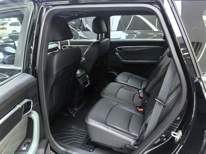 Geely Okavango L 2024 2024款 2.0T DCT尊贵型