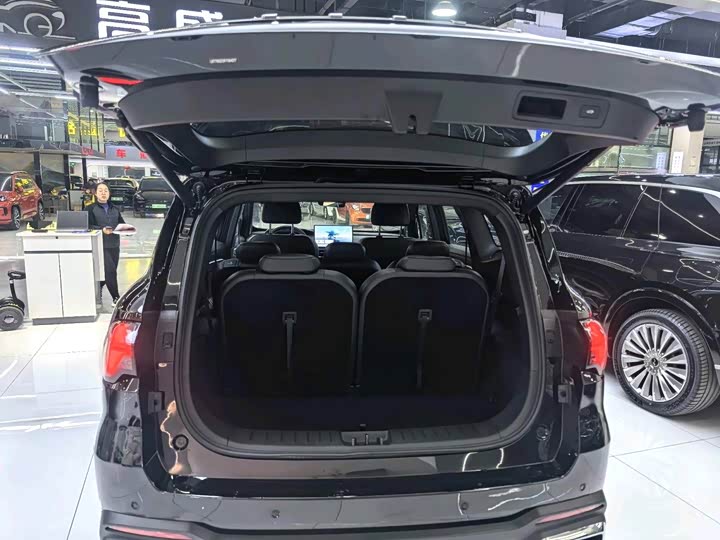 Geely Okavango L 2024 2024款 2.0T DCT尊贵型