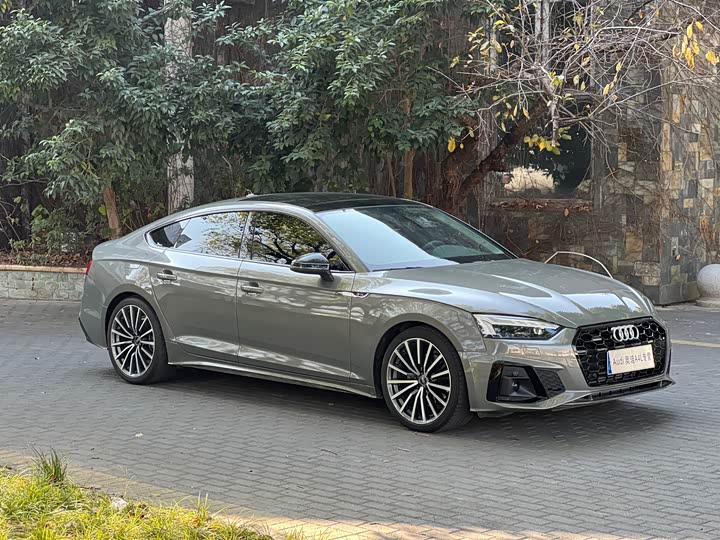 Audi A5 2024 2024款 Sportback 40 TFSI quattro 豪华动感型