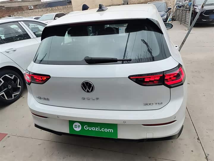 Volkswagen Golf 2025 2025款 300TSI R-Line