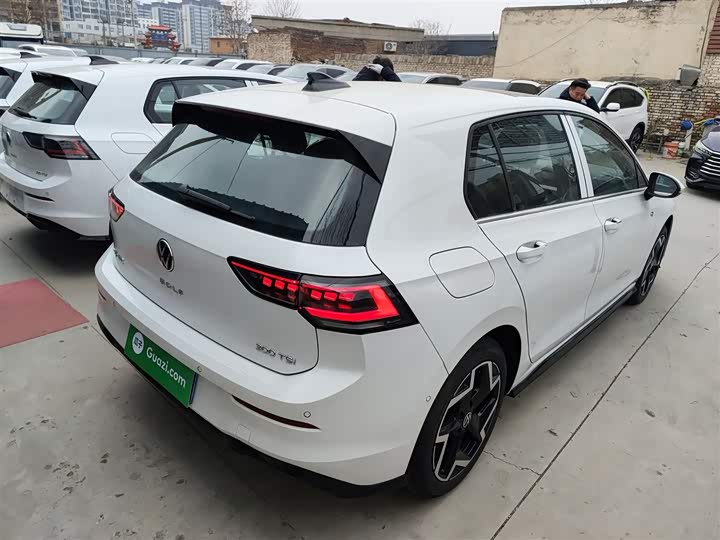 Volkswagen Golf 2025 2025款 300TSI R-Line