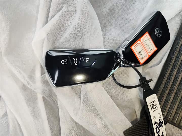 Volkswagen Golf 2025 2025款 300TSI R-Line