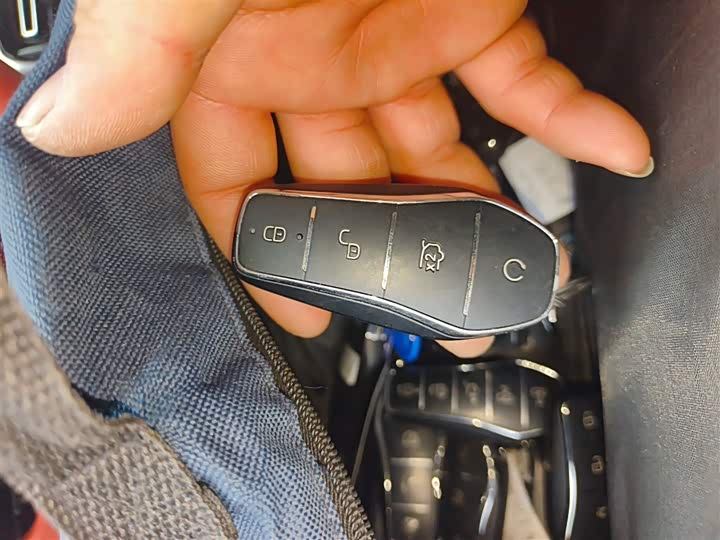 BYD Tang L 2025 2025款 DM 175KM无人机玩家版