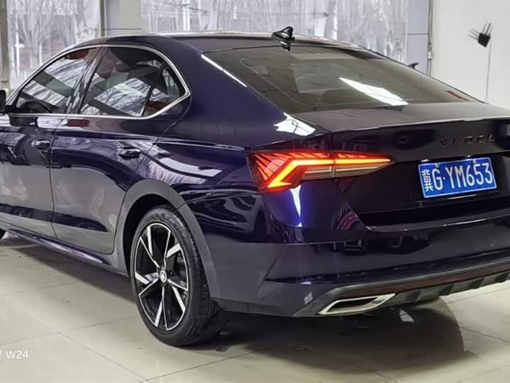 Skoda Octavia Pro 2022 2022款 PRO TSI280 奢享版