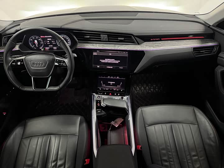 Audi e-tron 2022 2022款 Sportback 55 quattro 豪华型