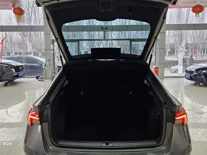 Skoda Octavia Pro 2022 2022款 PRO TSI280 奢享版