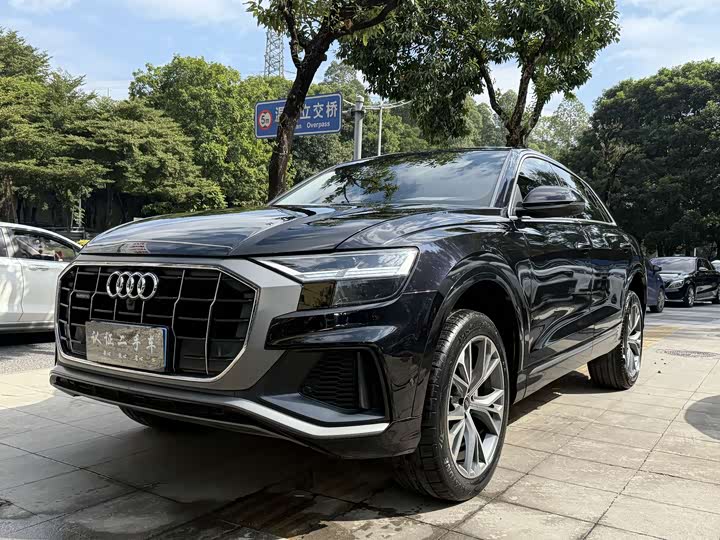 Audi Q8 2022 2022款 55 TFSI 豪华动感型