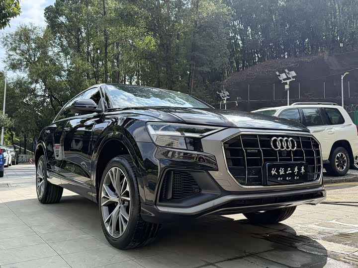 Audi Q8 2022 2022款 55 TFSI 豪华动感型