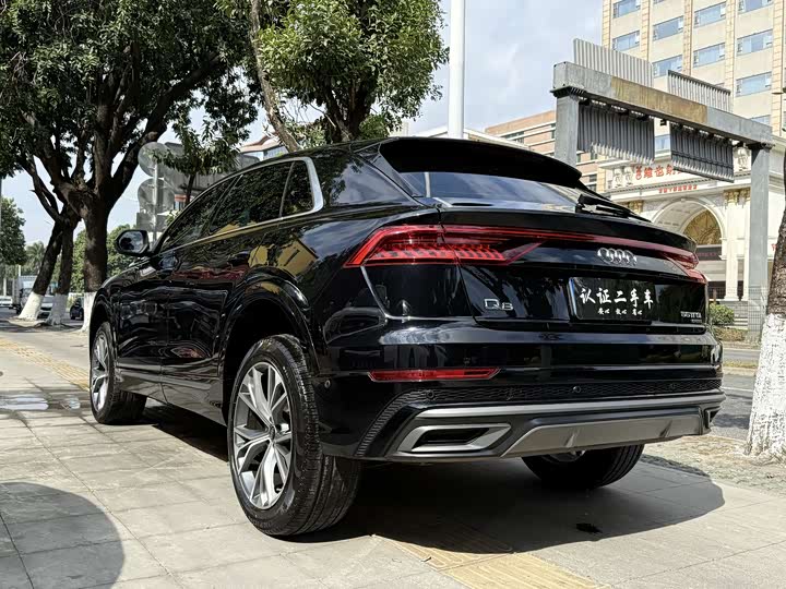 Audi Q8 2022 2022款 55 TFSI 豪华动感型