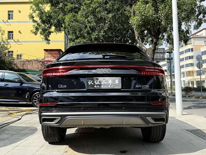 Audi Q8 2022 2022款 55 TFSI 豪华动感型