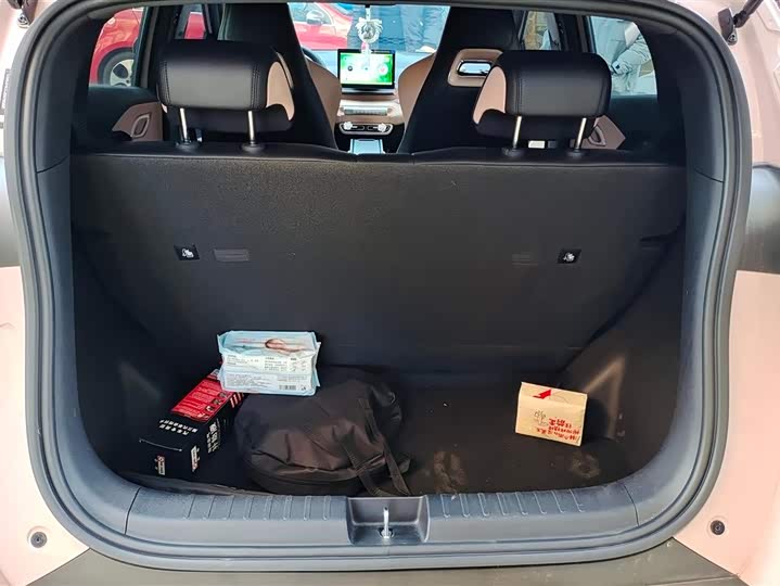 BYD Seagull 2025 2025款 305km 活力版