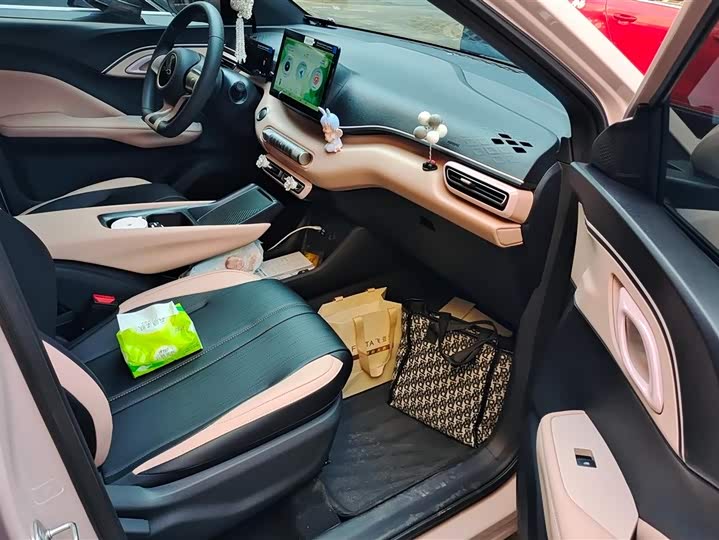 BYD Seagull 2025 2025款 305km 活力版