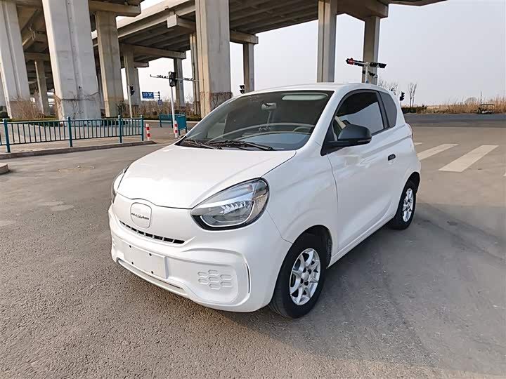 Roewe Clever 2022 2022款 311km元气啵啵版