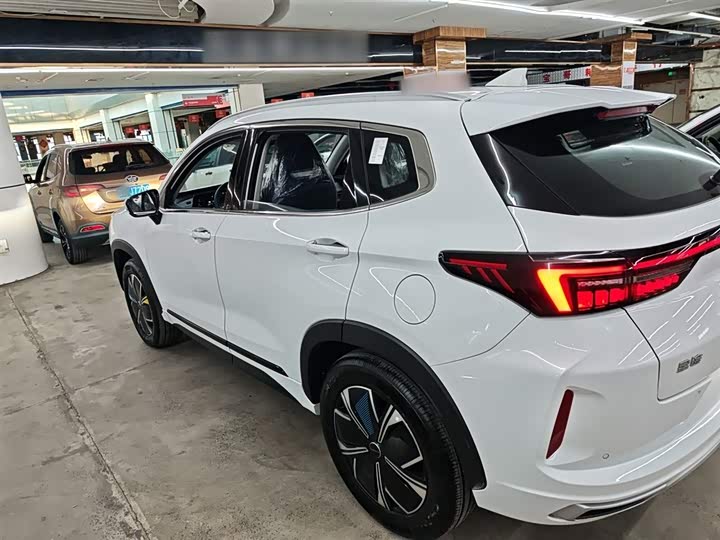 Exeed LX C-DM Hybrid 2024 2024款 C-DM 1.5TCI 105KM奢享版