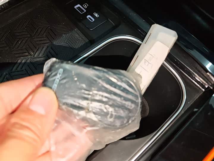 Exeed LX C-DM Hybrid 2024 2024款 C-DM 1.5TCI 105KM奢享版