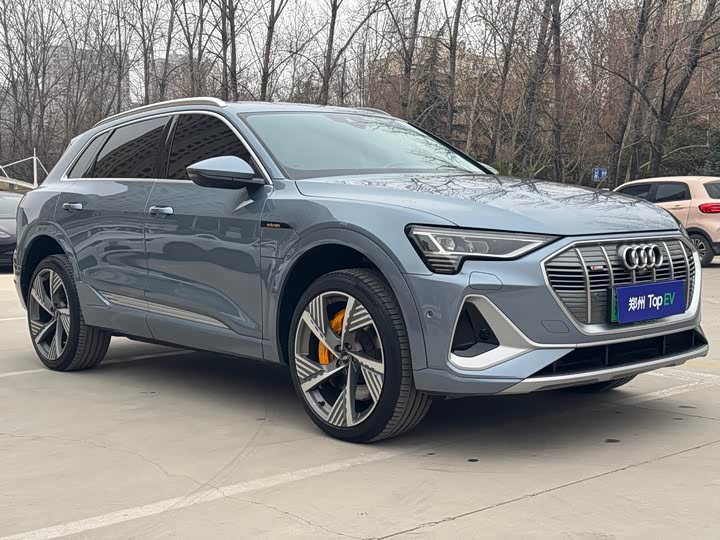 Audi e-tron 2021 2021款 50 quattro 尊享型