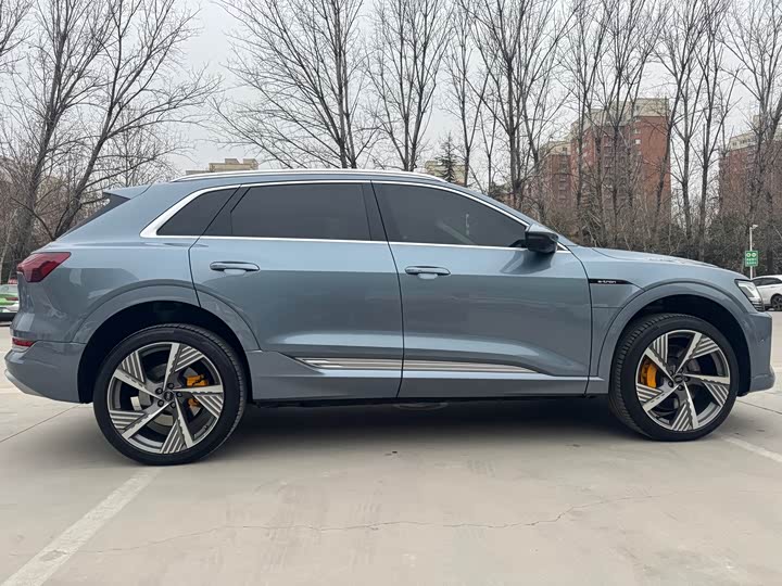 Audi e-tron 2021 2021款 50 quattro 尊享型