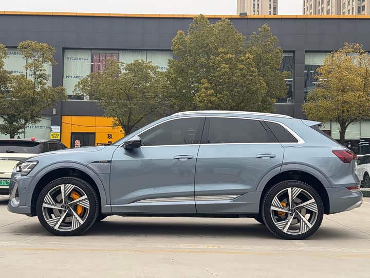 Audi e-tron 2021 2021款 50 quattro 尊享型
