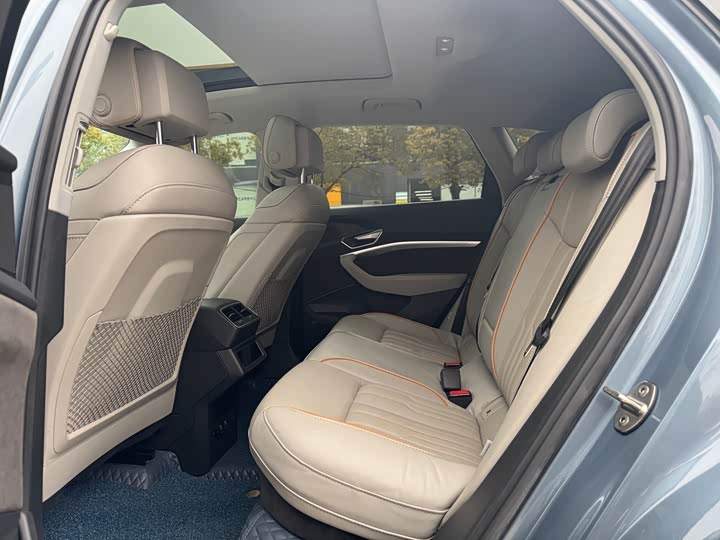 Audi e-tron 2021 2021款 50 quattro 尊享型