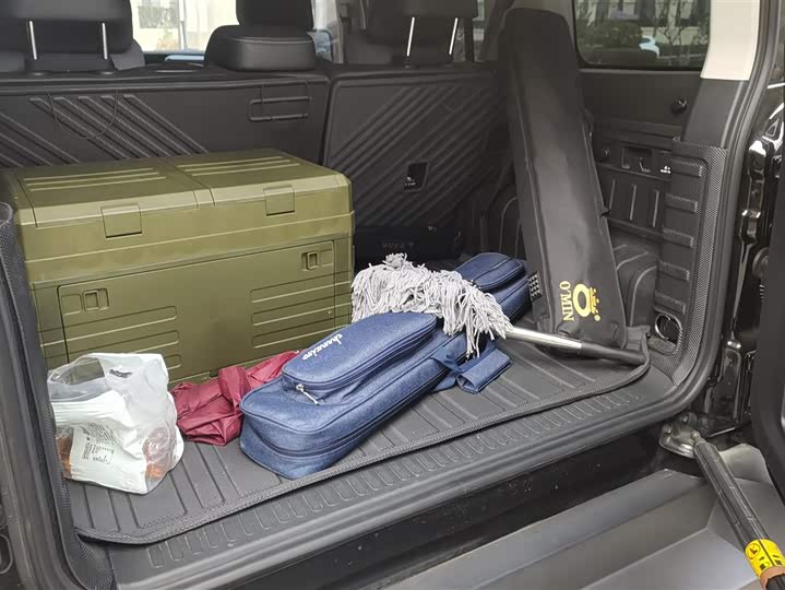 Tank 300 2024 2024款 2.0T 征服者