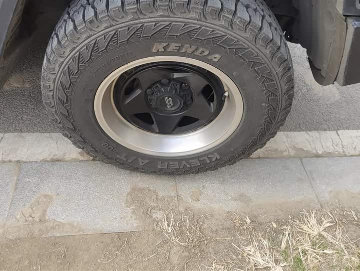 Tank 300 2024 2024款 2.0T 征服者