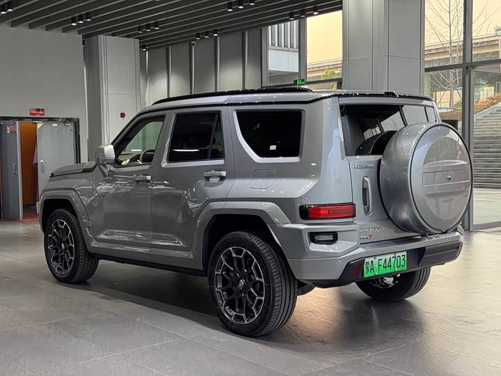 Tank 700 Hybrid 2024 2024款 Hi4-T 极境版