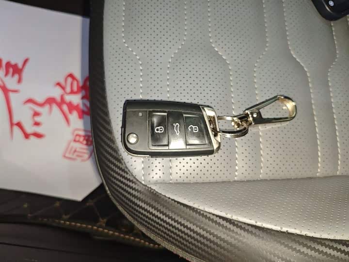 Volkswagen Tiguan X 2023 2023款 改款 330TSI 两驱旗舰版