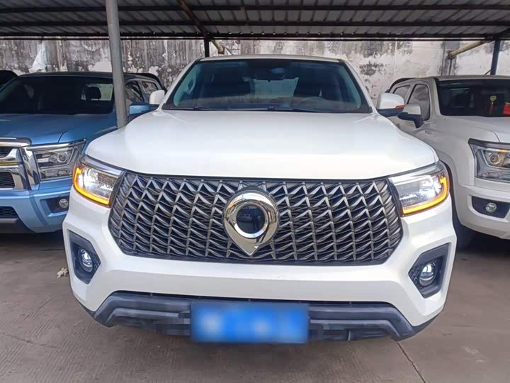 Great Wall Pao 2024 2024款 2.4T商用版自动柴油两驱精英型