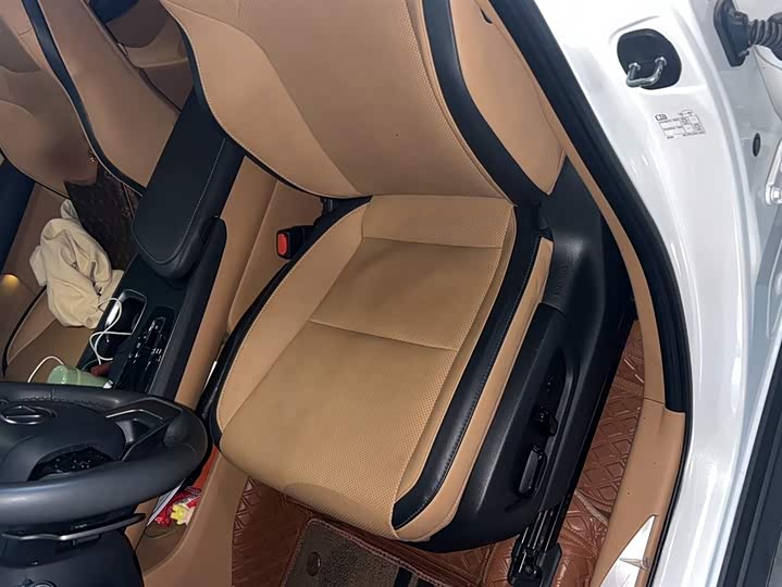 Lexus RZ 2023 2023款 450e 四驱纵享版