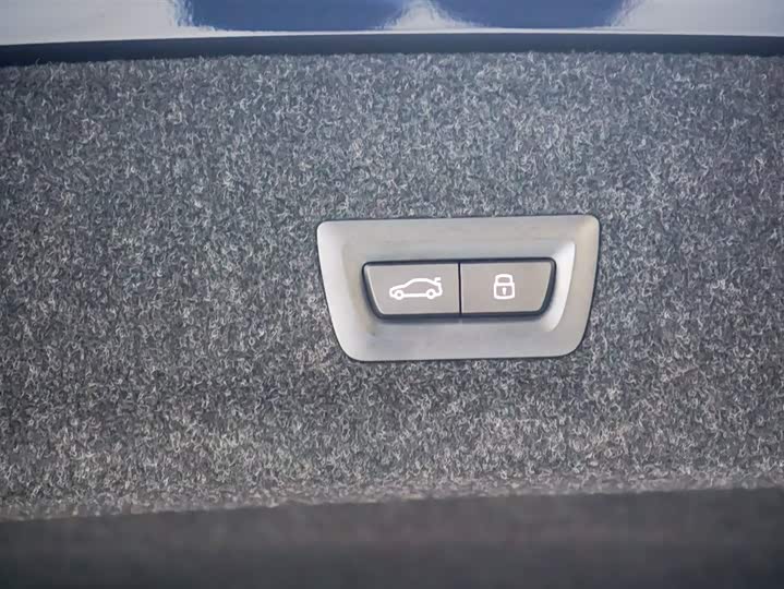 BMW 3 Series 2025 2025款 325Li M运动套装