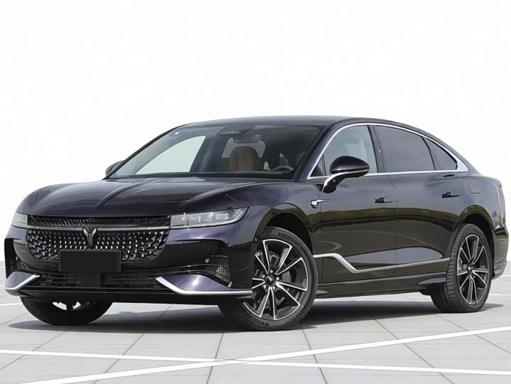 Voyah Passion 2024 2024款 PHEV 四驱超长续航旗舰版