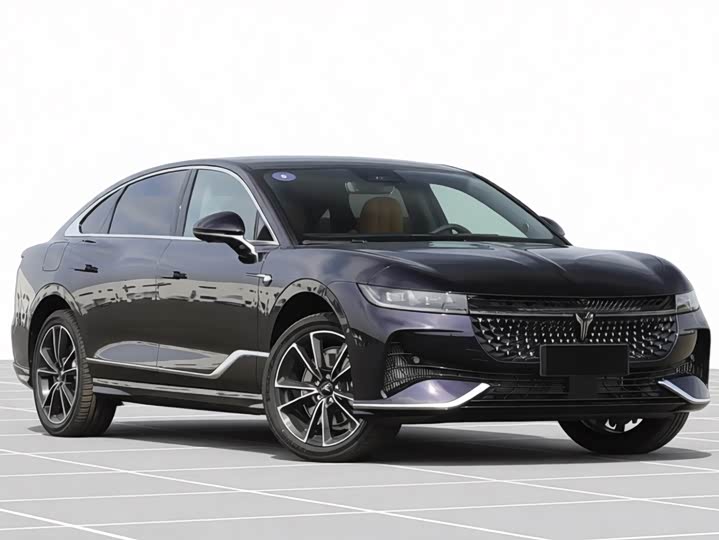 Voyah Passion 2024 2024款 PHEV 四驱超长续航旗舰版