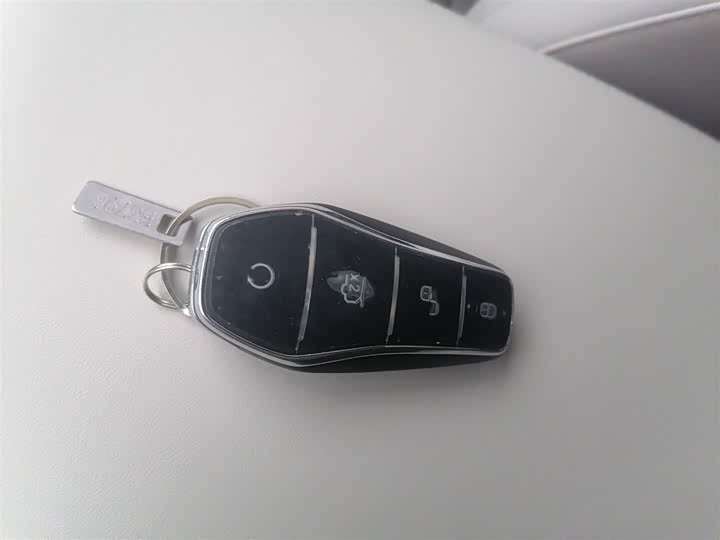 BYD Yuan Up 2025 2025款 智驾版 401KM 超越型