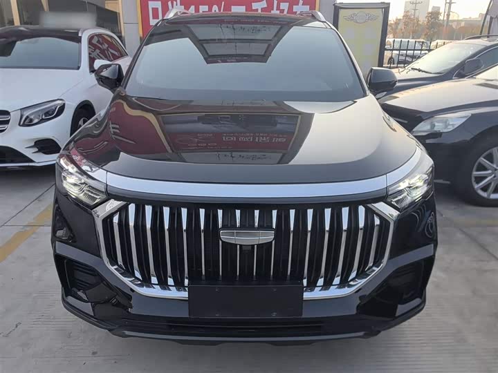 Geely Okavango L 2024 2024款 2.0T DCT尊贵型