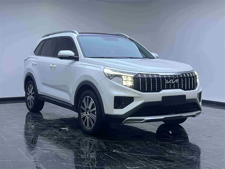 Kia Sportage GT-line 2021 2021款 Ace 2.0L 精彩版