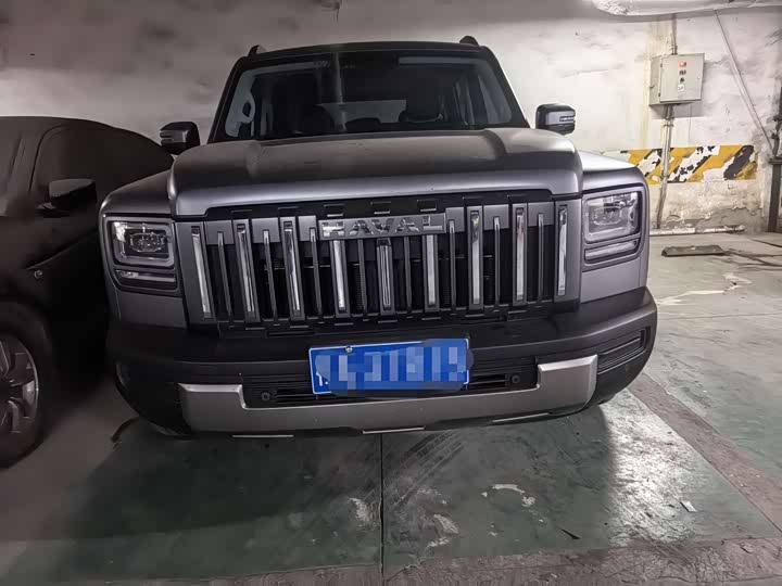 Haval Raptor 2025 2025款 2.0T 4WD Pro